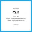 calf แปลว่า?, คำศัพท์ภาษาอังกฤษ calf แปลว่า น่อง ประเภท N ตัวอย่าง เขาถูกหมากัดที่น่องเป็นรอยเขี้ยวเลย เพิ่มเติม กล้ามเนื้อที่อยู่ด้านหลังหน้าแข้ง หมวด N