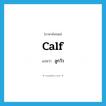 calf แปลว่า?, คำศัพท์ภาษาอังกฤษ calf แปลว่า ลูกวัว ประเภท N หมวด N