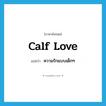calf love แปลว่า?, คำศัพท์ภาษาอังกฤษ calf love แปลว่า ความรักแบบเด็กๆ ประเภท N หมวด N