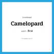 ยีราฟ ภาษาอังกฤษ?, คำศัพท์ภาษาอังกฤษ ยีราฟ แปลว่า camelopard ประเภท N หมวด N