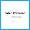 cater-cornered แปลว่า?, คำศัพท์ภาษาอังกฤษ cater-cornered แปลว่า ที่เป็นเส้นทแยงมุม ประเภท ADJ หมวด ADJ
