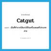 เอ็นที่ทำจากไส้แกะใช้ในเครื่องดนตรีประเภทสาย ภาษาอังกฤษ?, คำศัพท์ภาษาอังกฤษ เอ็นที่ทำจากไส้แกะใช้ในเครื่องดนตรีประเภทสาย แปลว่า catgut ประเภท N หมวด N