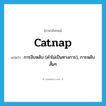 catnap แปลว่า?, คำศัพท์ภาษาอังกฤษ catnap แปลว่า การงีบหลับ (คำไม่เป็นทางการ), การหลับสั้นๆ ประเภท N หมวด N
