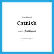 cattish แปลว่า?, คำศัพท์ภาษาอังกฤษ cattish แปลว่า ที่เหมือนแมว ประเภท N หมวด N