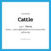 วัวควาย ภาษาอังกฤษ?, คำศัพท์ภาษาอังกฤษ วัวควาย แปลว่า cattle ประเภท N ตัวอย่าง เกษตรกรผู้เลี้ยงสัตว์มักจะพาวัวควายของเขาไปกินหญ้ากลางทุ่ง หมวด N