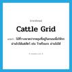 cattle grid แปลว่า?, คำศัพท์ภาษาอังกฤษ cattle grid แปลว่า ไม้ที่วางพาดปากหลุมที่อยู่ในถนนเพื่อให้รถผ่านไปได้แต่สัตว์ เช่น วัวหรือแกะ ผ่านไม่ได้ ประเภท N หมวด N