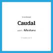 ที่เกี่ยวกับหาง ภาษาอังกฤษ?, คำศัพท์ภาษาอังกฤษ ที่เกี่ยวกับหาง แปลว่า caudal ประเภท ADJ หมวด ADJ