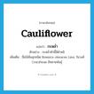 cauliflower แปลว่า?, คำศัพท์ภาษาอังกฤษ cauliflower แปลว่า กะหล่ำ ประเภท N ตัวอย่าง กะหล่ำหัวนี้มีตำหนิ เพิ่มเติม ชื่อไม้ล้มลุกชนิด Brassica oleracea Linn. ในวงศ์ Cruciferae มีหลายพันธุ์ หมวด N
