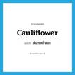 cauliflower แปลว่า?, คำศัพท์ภาษาอังกฤษ cauliflower แปลว่า ต้นกะหล่ำดอก ประเภท N หมวด N