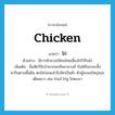 chicken แปลว่า?, คำศัพท์ภาษาอังกฤษ chicken แปลว่า ไก่ ประเภท N ตัวอย่าง มีการชักชวนให้คนไทยเลี้ยงไก่ไว้กินไข่ เพิ่มเติม ชื่อสัตว์ปีกจำพวกนกมีหลายวงศ์ บินได้ในระยะสั้น หากินตามพื้นดิน ตกไข่ก่อนแล้วจึงฟักเป็นตัว ตัวผู้หงอนใหญ่และเดือยยาว เช่น ไก่แจ้ ไก่อู ไก่ตะเภา หมวด N