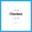 chicken แปลว่า?, คำศัพท์ภาษาอังกฤษ chicken แปลว่า ไก่ ประเภท N หมวด N