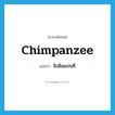 ลิงชิมแปนซี ภาษาอังกฤษ?, คำศัพท์ภาษาอังกฤษ ลิงชิมแปนซี แปลว่า chimpanzee ประเภท N หมวด N