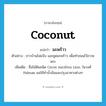 มะพร้าว ภาษาอังกฤษ?, คำศัพท์ภาษาอังกฤษ มะพร้าว แปลว่า coconut ประเภท N ตัวอย่าง ชาวบ้านโม่แป้ง และขูดมะพร้าว เพื่อทำขนมไว้ถวายพระ เพิ่มเติม ชื่อไม้ต้นชนิด Cocos nucifera Linn. ในวงศ์ Palmae ผลใช้ทำน้ำมันและปรุงอาหารต่างๆ หมวด N