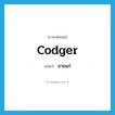 codger แปลว่า?, คำศัพท์ภาษาอังกฤษ codger แปลว่า ชายแก่ ประเภท SL หมวด SL