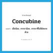 concubine แปลว่า?, คำศัพท์ภาษาอังกฤษ concubine แปลว่า เมียน้อย, ภรรยาน้อย, ภรรยาที่ไม่ได้สมรสด้วย ประเภท N หมวด N