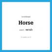 ทหารม้า ภาษาอังกฤษ?, คำศัพท์ภาษาอังกฤษ ทหารม้า แปลว่า horse ประเภท N หมวด N