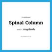 กระดูกสันหลัง ภาษาอังกฤษ?, คำศัพท์ภาษาอังกฤษ กระดูกสันหลัง แปลว่า spinal column ประเภท N หมวด N