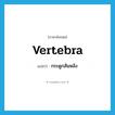 กระดูกสันหลัง ภาษาอังกฤษ?, คำศัพท์ภาษาอังกฤษ กระดูกสันหลัง แปลว่า vertebra ประเภท N หมวด N