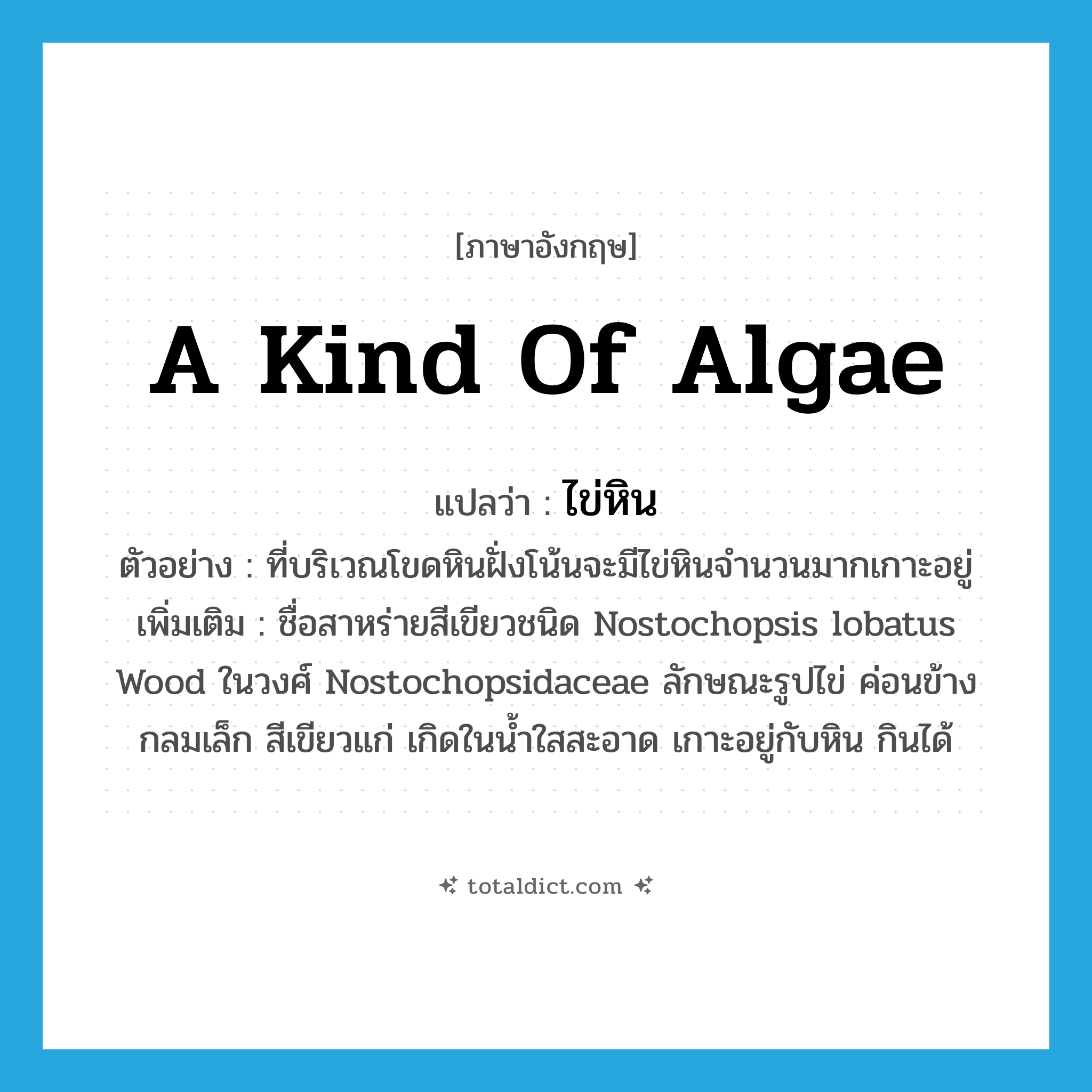 a kind of algae แปลว่า?, คำศัพท์ภาษาอังกฤษ a kind of algae แปลว่า ไข่หิน ประเภท N ตัวอย่าง ที่บริเวณโขดหินฝั่งโน้นจะมีไข่หินจำนวนมากเกาะอยู่ เพิ่มเติม ชื่อสาหร่ายสีเขียวชนิด Nostochopsis lobatus Wood ในวงศ์ Nostochopsidaceae ลักษณะรูปไข่ ค่อนข้างกลมเล็ก สีเขียวแก่ เกิดในน้ำใสสะอาด เกาะอยู่กับหิน กินได้ หมวด N