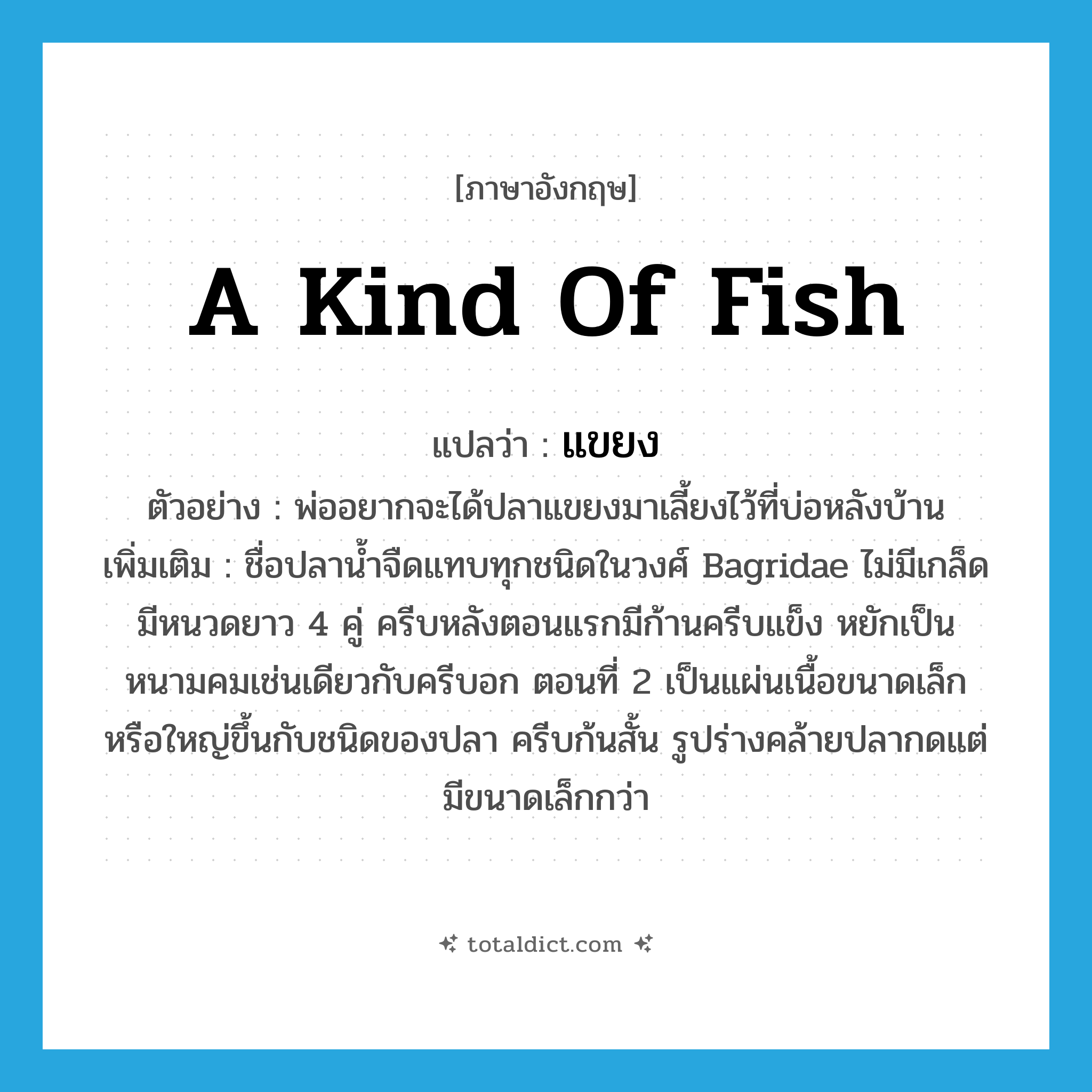 a kind of fish แปลว่า?, คำศัพท์ภาษาอังกฤษ a kind of fish แปลว่า แขยง ประเภท N ตัวอย่าง พ่ออยากจะได้ปลาแขยงมาเลี้ยงไว้ที่บ่อหลังบ้าน เพิ่มเติม ชื่อปลาน้ำจืดแทบทุกชนิดในวงศ์ Bagridae ไม่มีเกล็ด มีหนวดยาว 4 คู่ ครีบหลังตอนแรกมีก้านครีบแข็ง หยักเป็นหนามคมเช่นเดียวกับครีบอก ตอนที่ 2 เป็นแผ่นเนื้อขนาดเล็กหรือใหญ่ขึ้นกับชนิดของปลา ครีบก้นสั้น รูปร่างคล้ายปลากดแต่มีขนาดเล็กกว่า หมวด N