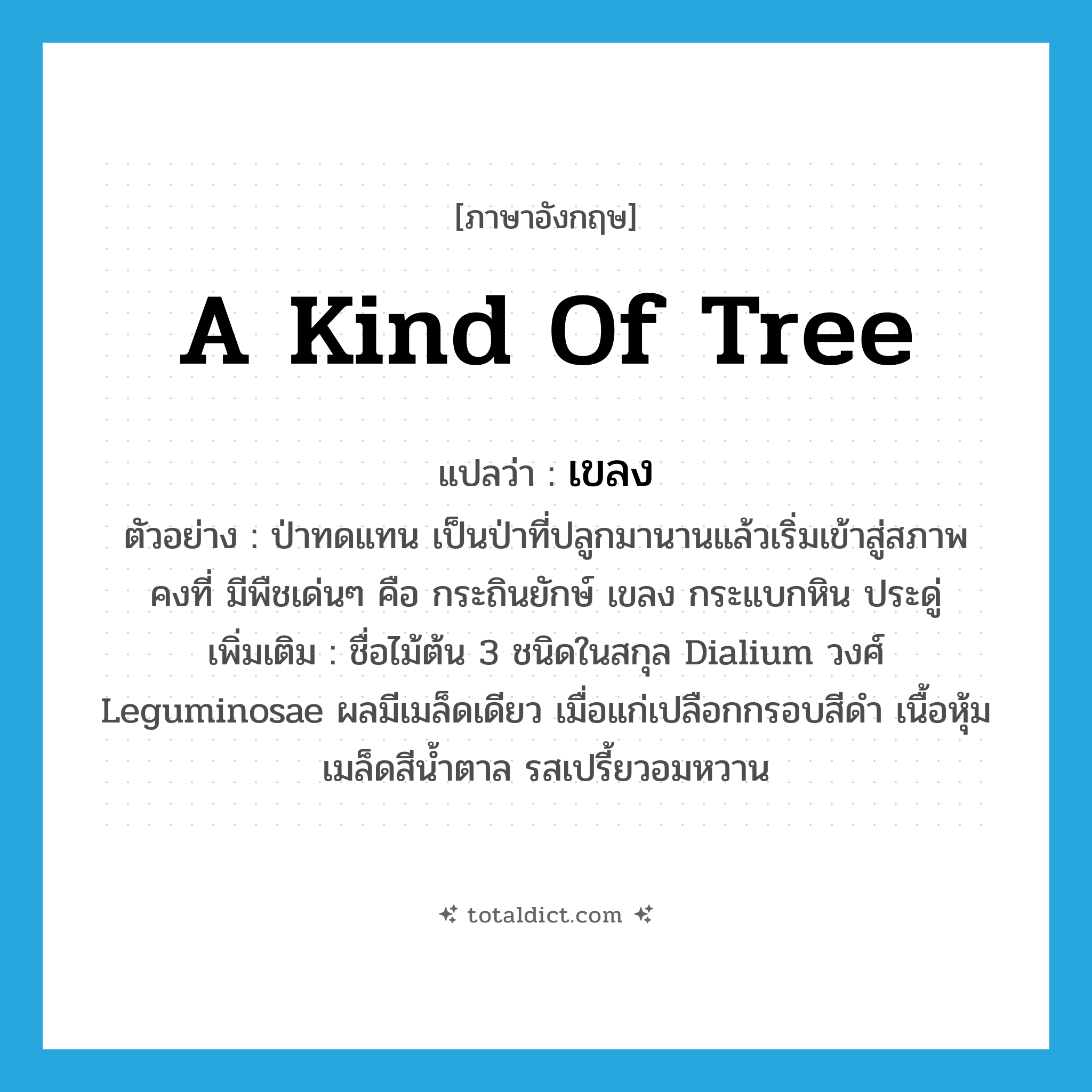a kind of tree แปลว่า?, คำศัพท์ภาษาอังกฤษ a kind of tree แปลว่า เขลง ประเภท N ตัวอย่าง ป่าทดแทน เป็นป่าที่ปลูกมานานแล้วเริ่มเข้าสู่สภาพคงที่ มีพืชเด่นๆ คือ กระถินยักษ์ เขลง กระแบกหิน ประดู่ เพิ่มเติม ชื่อไม้ต้น 3 ชนิดในสกุล Dialium วงศ์ Leguminosae ผลมีเมล็ดเดียว เมื่อแก่เปลือกกรอบสีดำ เนื้อหุ้มเมล็ดสีน้ำตาล รสเปรี้ยวอมหวาน หมวด N