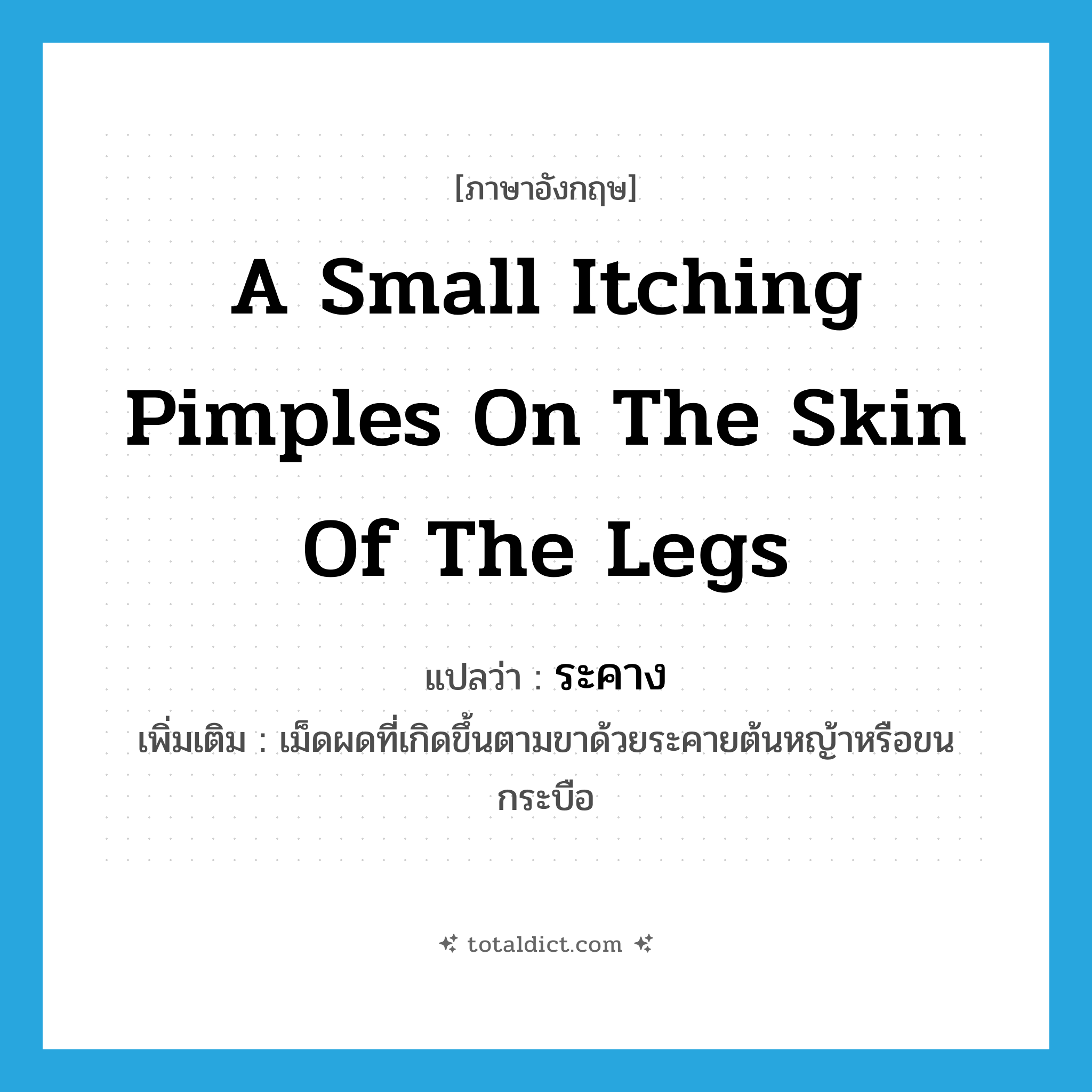 a small itching pimples on the skin of the legs แปลว่า?, คำศัพท์ภาษาอังกฤษ a small itching pimples on the skin of the legs แปลว่า ระคาง ประเภท N เพิ่มเติม เม็ดผดที่เกิดขึ้นตามขาด้วยระคายต้นหญ้าหรือขนกระบือ หมวด N