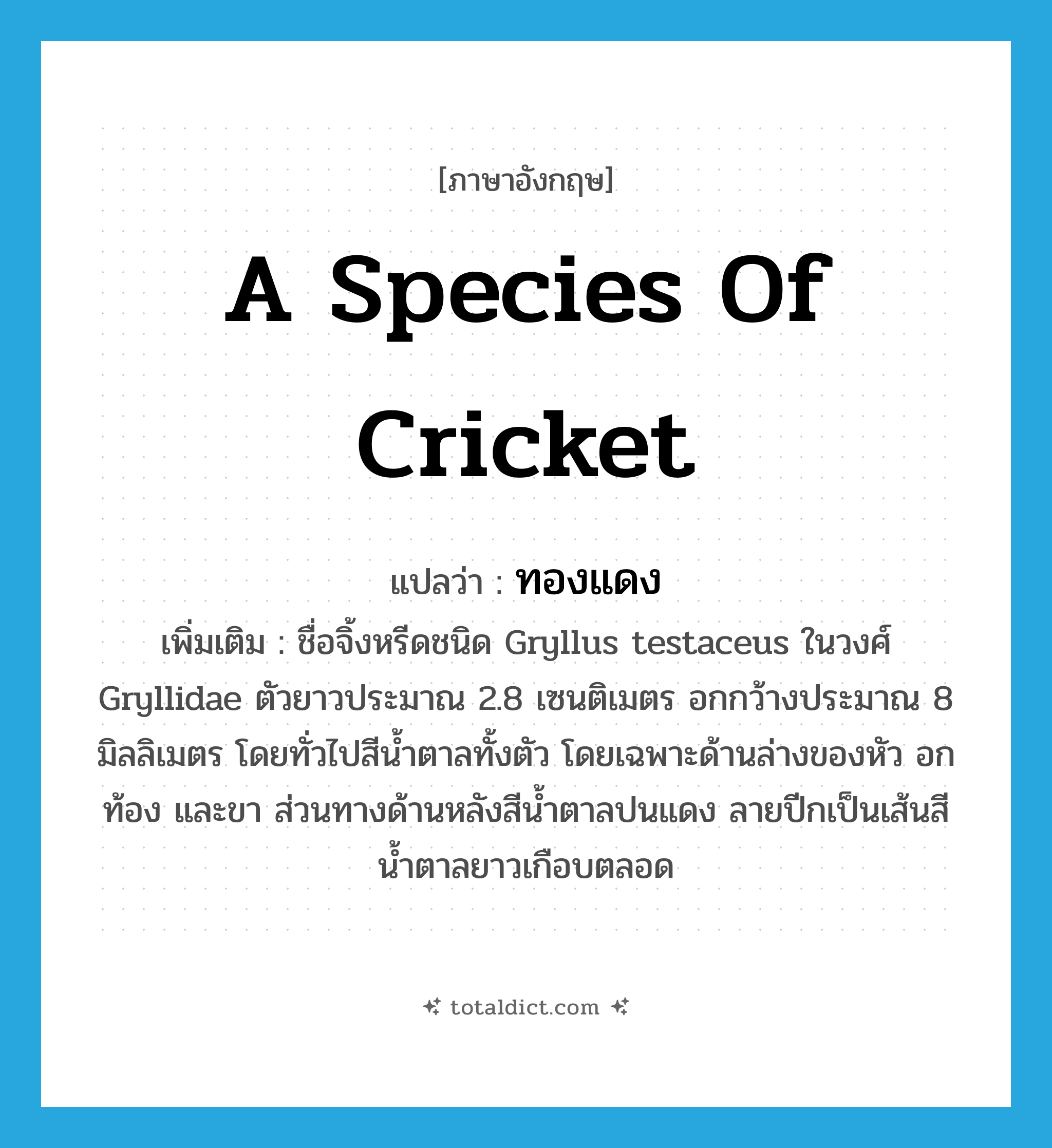 ทองแดง ภาษาอังกฤษ?, คำศัพท์ภาษาอังกฤษ ทองแดง แปลว่า a species of cricket ประเภท N เพิ่มเติม ชื่อจิ้งหรีดชนิด Gryllus testaceus ในวงศ์ Gryllidae ตัวยาวประมาณ 2.8 เซนติเมตร อกกว้างประมาณ 8 มิลลิเมตร โดยทั่วไปสีน้ำตาลทั้งตัว โดยเฉพาะด้านล่างของหัว อก ท้อง และขา ส่วนทางด้านหลังสีน้ำตาลปนแดง ลายปีกเป็นเส้นสีน้ำตาลยาวเกือบตลอด หมวด N