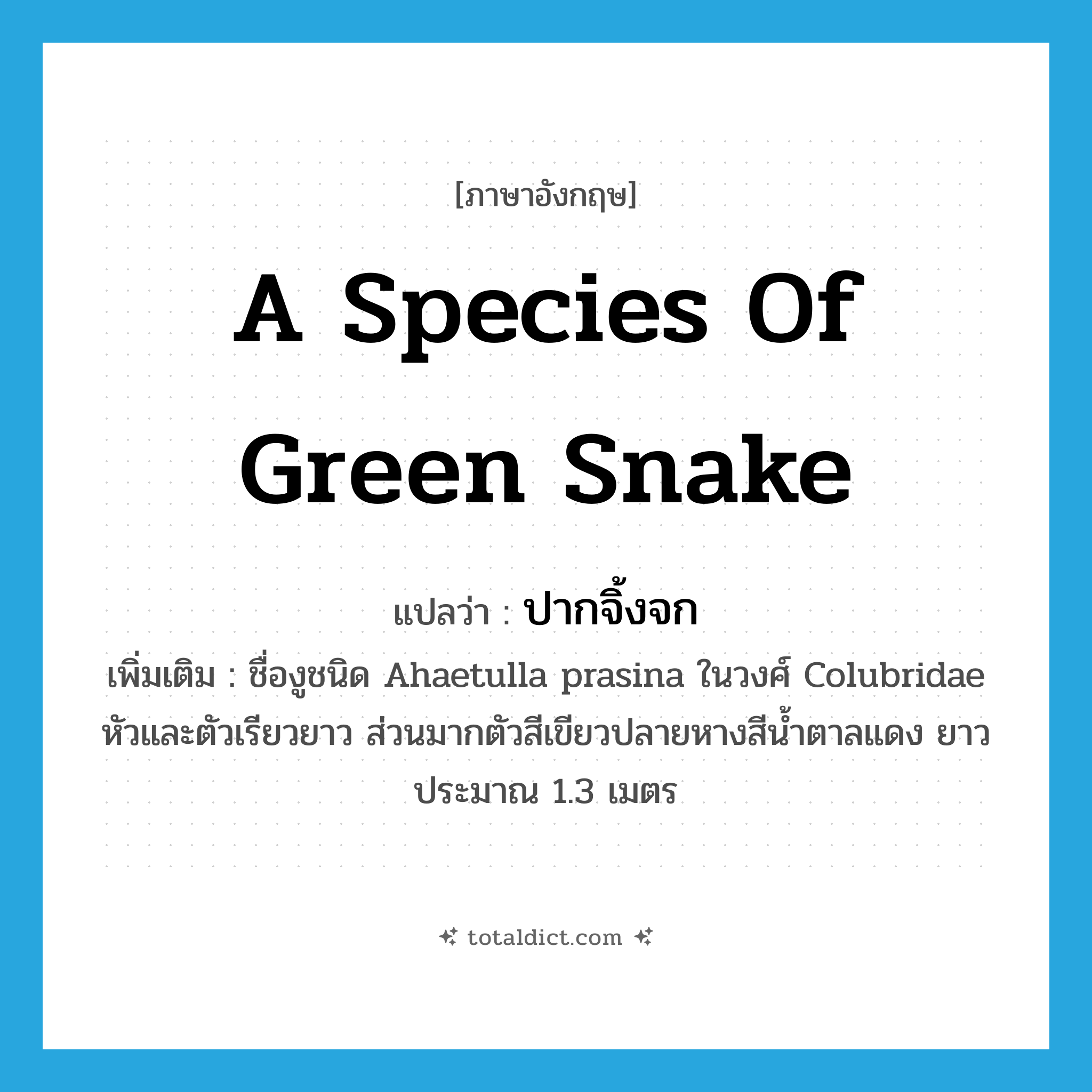 a species of green snake แปลว่า?, คำศัพท์ภาษาอังกฤษ a species of green snake แปลว่า ปากจิ้งจก ประเภท N เพิ่มเติม ชื่องูชนิด Ahaetulla prasina ในวงศ์ Colubridae หัวและตัวเรียวยาว ส่วนมากตัวสีเขียวปลายหางสีน้ำตาลแดง ยาวประมาณ 1.3 เมตร หมวด N