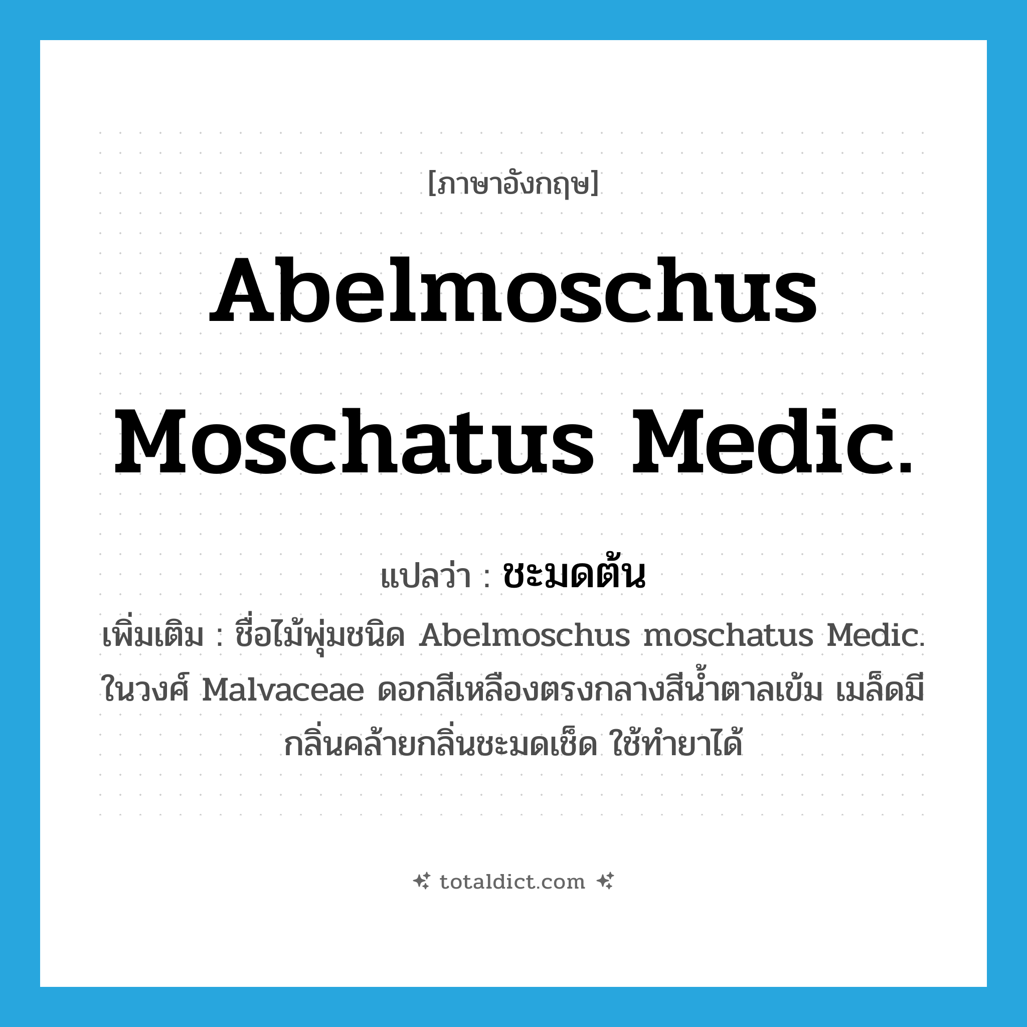 Abelmoschus moschatus Medic. แปลว่า?, คำศัพท์ภาษาอังกฤษ Abelmoschus moschatus Medic. แปลว่า ชะมดต้น ประเภท N เพิ่มเติม ชื่อไม้พุ่มชนิด Abelmoschus moschatus Medic. ในวงศ์ Malvaceae ดอกสีเหลืองตรงกลางสีน้ำตาลเข้ม เมล็ดมีกลิ่นคล้ายกลิ่นชะมดเช็ด ใช้ทำยาได้ หมวด N
