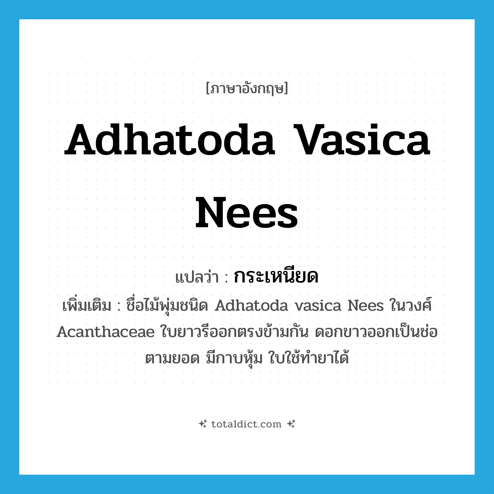 Adhatoda vasica Nees แปลว่า?, คำศัพท์ภาษาอังกฤษ Adhatoda vasica Nees แปลว่า กระเหนียด ประเภท N เพิ่มเติม ชื่อไม้พุ่มชนิด Adhatoda vasica Nees ในวงศ์ Acanthaceae ใบยาวรีออกตรงข้ามกัน ดอกขาวออกเป็นช่อตามยอด มีกาบหุ้ม ใบใช้ทำยาได้ หมวด N
