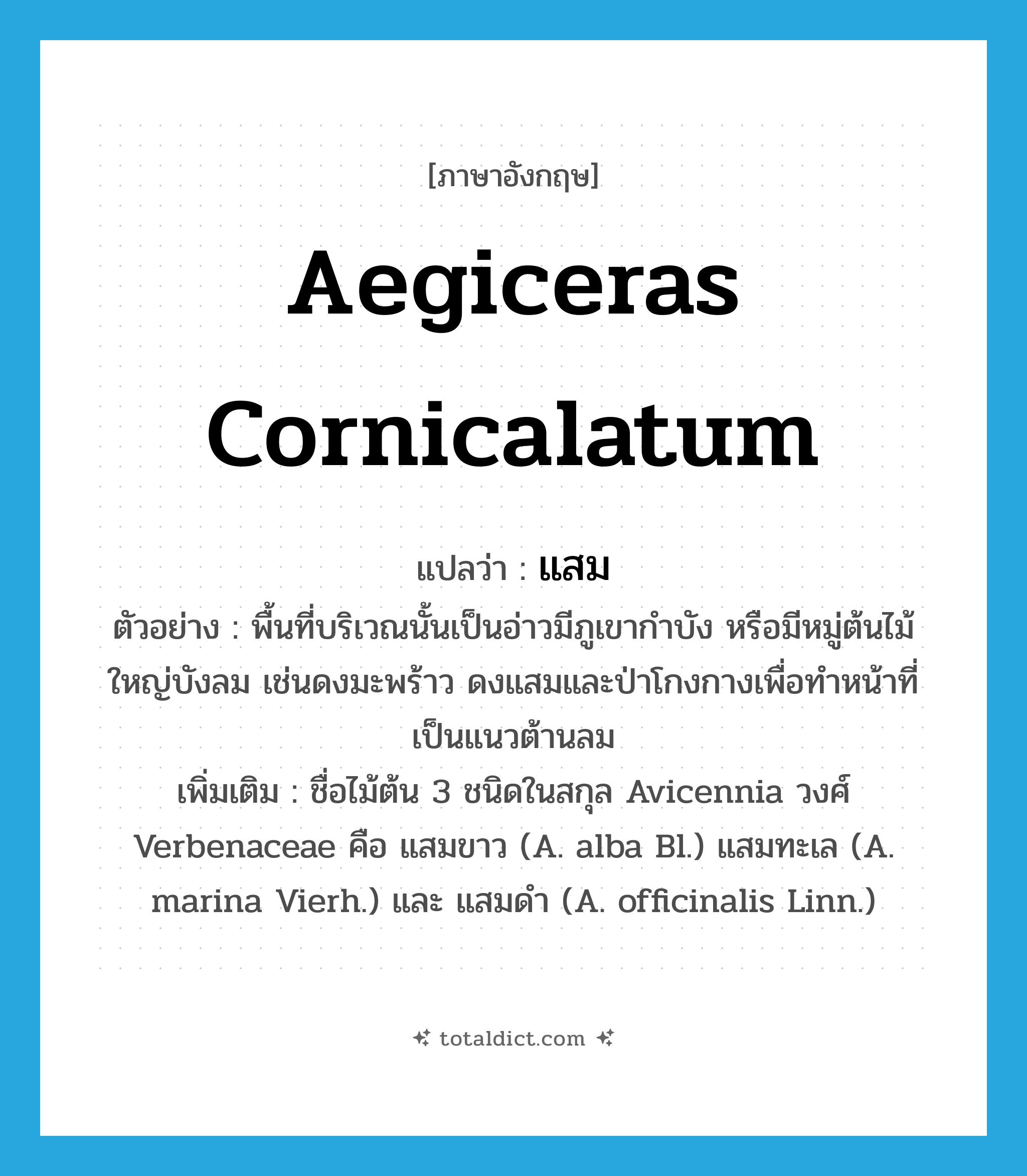 Aegiceras cornicalatum แปลว่า?, คำศัพท์ภาษาอังกฤษ Aegiceras cornicalatum แปลว่า แสม ประเภท N ตัวอย่าง พื้นที่บริเวณนั้นเป็นอ่าวมีภูเขากำบัง หรือมีหมู่ต้นไม้ใหญ่บังลม เช่นดงมะพร้าว ดงแสมและป่าโกงกางเพื่อทำหน้าที่เป็นแนวต้านลม เพิ่มเติม ชื่อไม้ต้น 3 ชนิดในสกุล Avicennia วงศ์ Verbenaceae คือ แสมขาว (A. alba Bl.) แสมทะเล (A. marina Vierh.) และ แสมดำ (A. officinalis Linn.) หมวด N