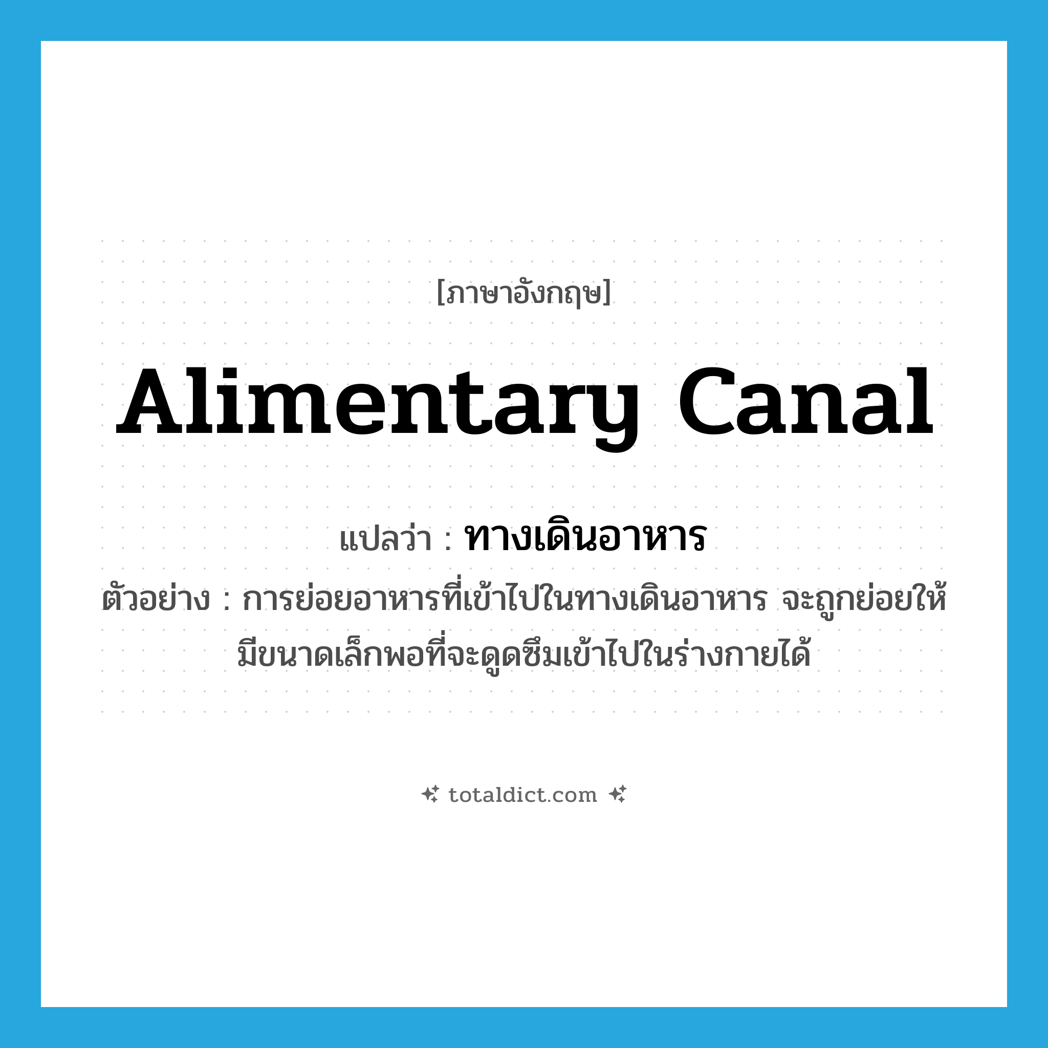 alimentary canal แปลว่า?, คำศัพท์ภาษาอังกฤษ alimentary canal แปลว่า ทางเดินอาหาร ประเภท N ตัวอย่าง การย่อยอาหารที่เข้าไปในทางเดินอาหาร จะถูกย่อยให้มีขนาดเล็กพอที่จะดูดซึมเข้าไปในร่างกายได้ หมวด N