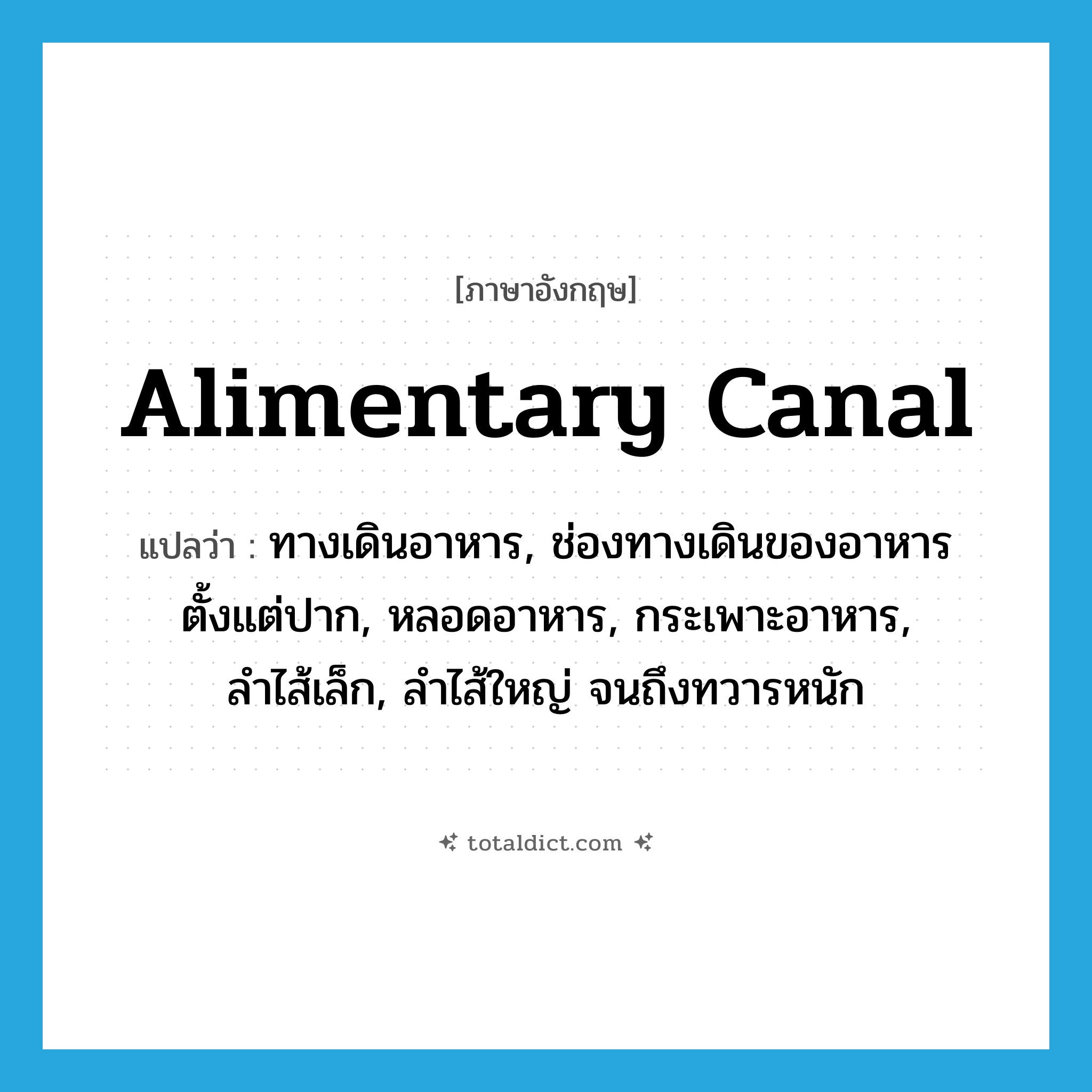 alimentary canal แปลว่า?, คำศัพท์ภาษาอังกฤษ alimentary canal แปลว่า ทางเดินอาหาร, ช่องทางเดินของอาหารตั้งแต่ปาก, หลอดอาหาร, กระเพาะอาหาร, ลำไส้เล็ก, ลำไส้ใหญ่ จนถึงทวารหนัก ประเภท N หมวด N