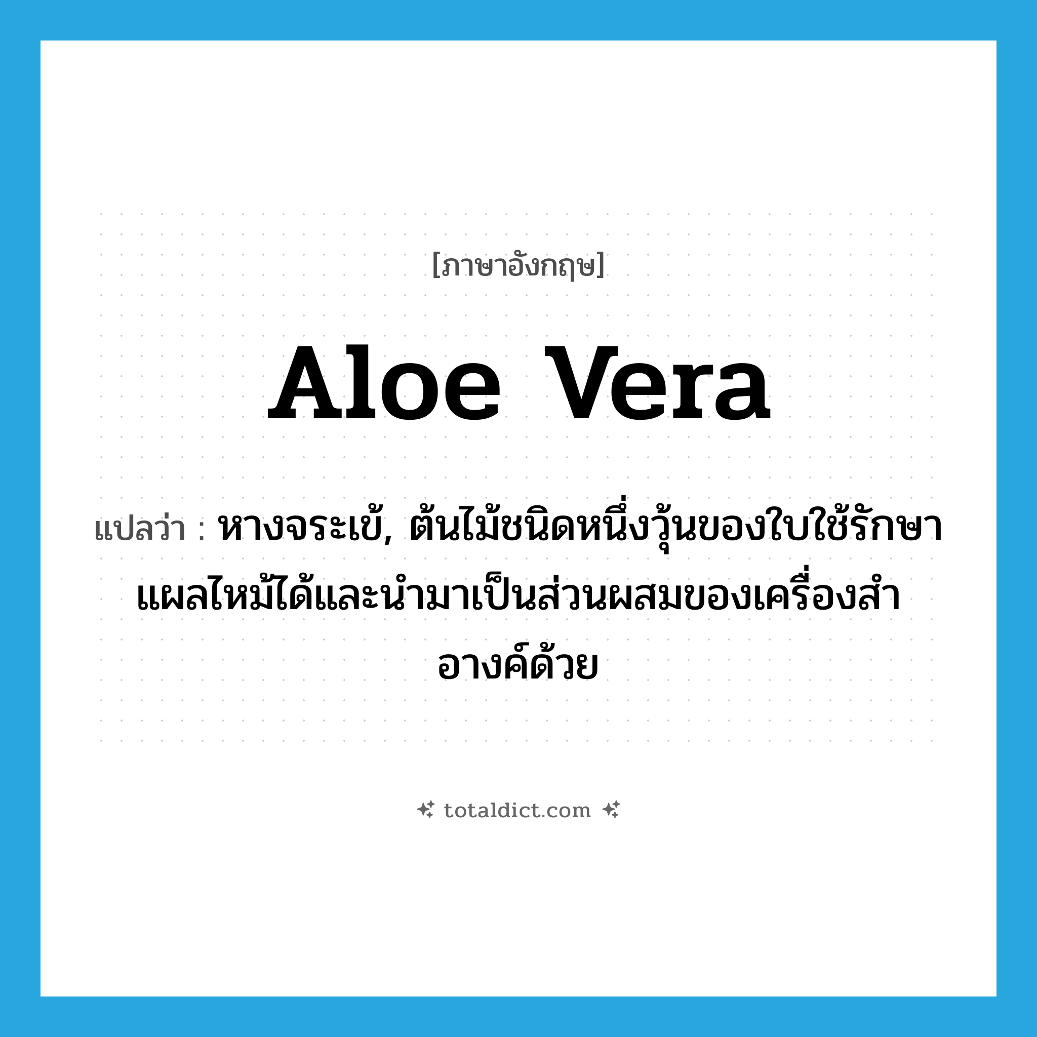 aloe vera แปลว่า?, คำศัพท์ภาษาอังกฤษ aloe vera แปลว่า หางจระเข้, ต้นไม้ชนิดหนึ่งวุ้นของใบใช้รักษาแผลไหม้ได้และนำมาเป็นส่วนผสมของเครื่องสำอางค์ด้วย ประเภท N หมวด N