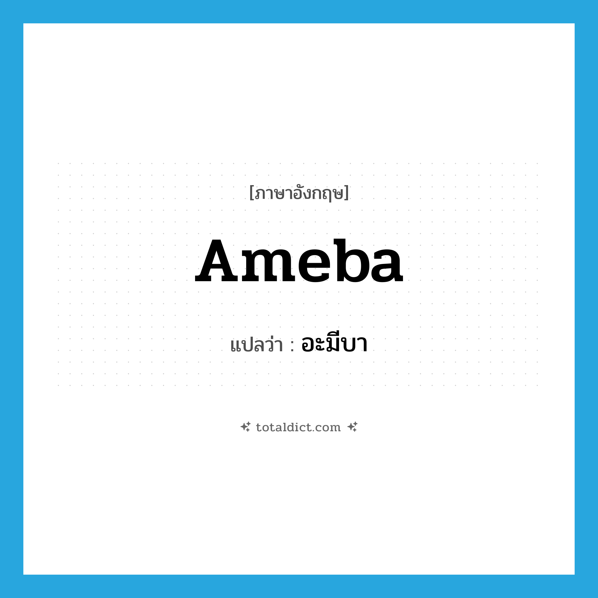 ameba แปลว่า?, คำศัพท์ภาษาอังกฤษ ameba แปลว่า อะมีบา ประเภท N หมวด N