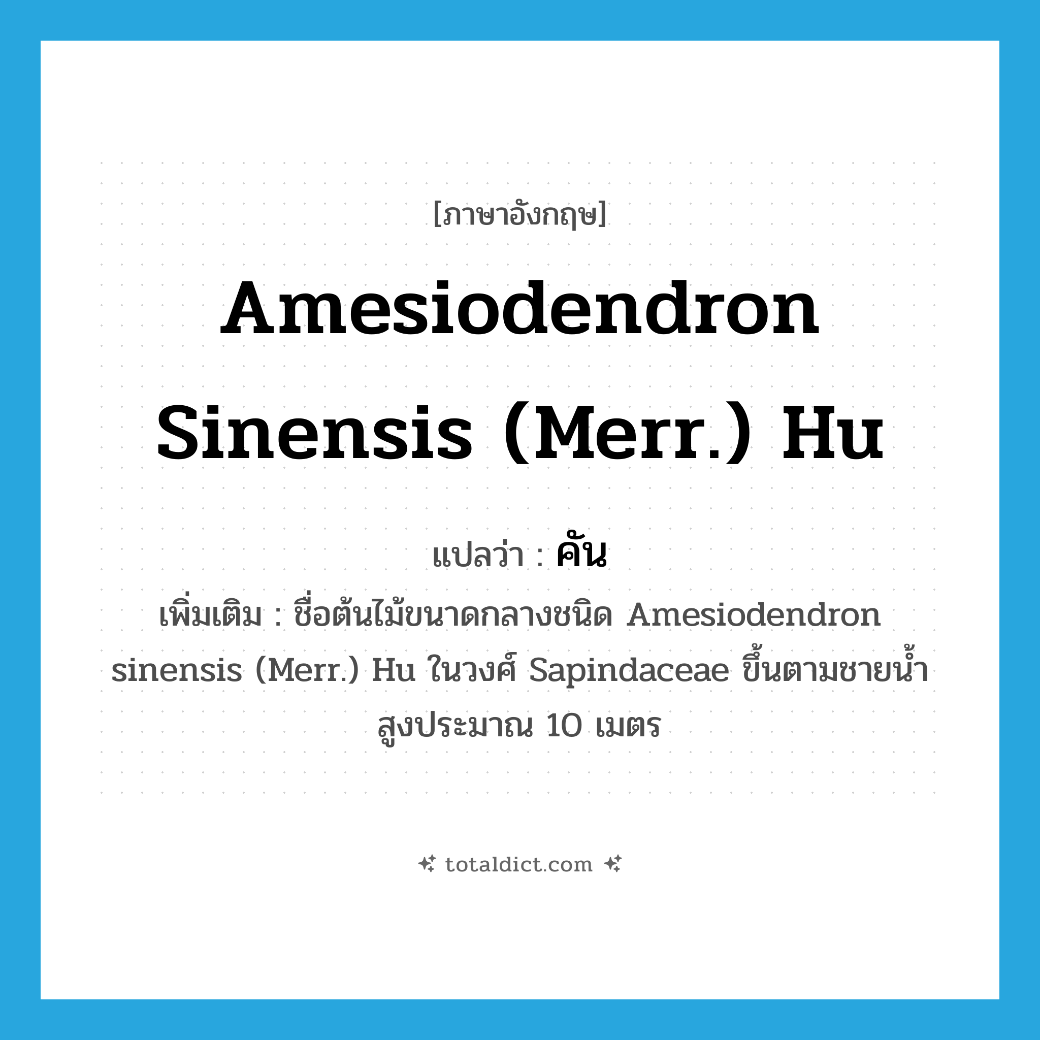 คัน ภาษาอังกฤษ?, คำศัพท์ภาษาอังกฤษ คัน แปลว่า Amesiodendron sinensis (Merr.) Hu ประเภท N เพิ่มเติม ชื่อต้นไม้ขนาดกลางชนิด Amesiodendron sinensis (Merr.) Hu ในวงศ์ Sapindaceae ขึ้นตามชายน้ำ สูงประมาณ 10 เมตร หมวด N