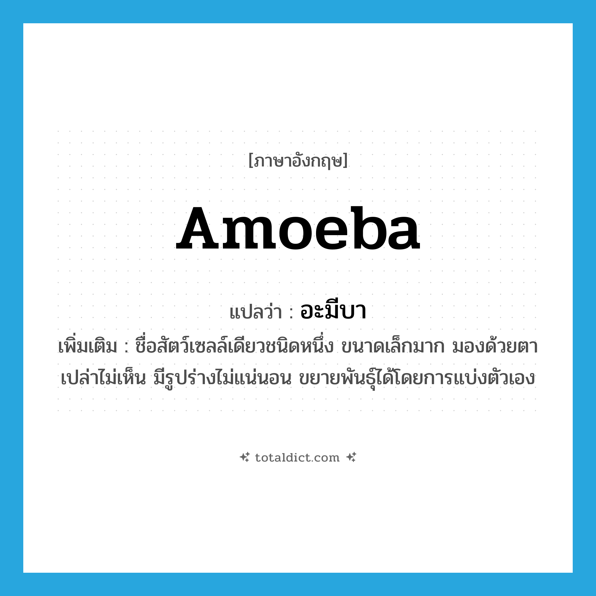 amoeba แปลว่า?, คำศัพท์ภาษาอังกฤษ amoeba แปลว่า อะมีบา ประเภท N เพิ่มเติม ชื่อสัตว์เซลล์เดียวชนิดหนึ่ง ขนาดเล็กมาก มองด้วยตาเปล่าไม่เห็น มีรูปร่างไม่แน่นอน ขยายพันธุ์ได้โดยการแบ่งตัวเอง หมวด N
