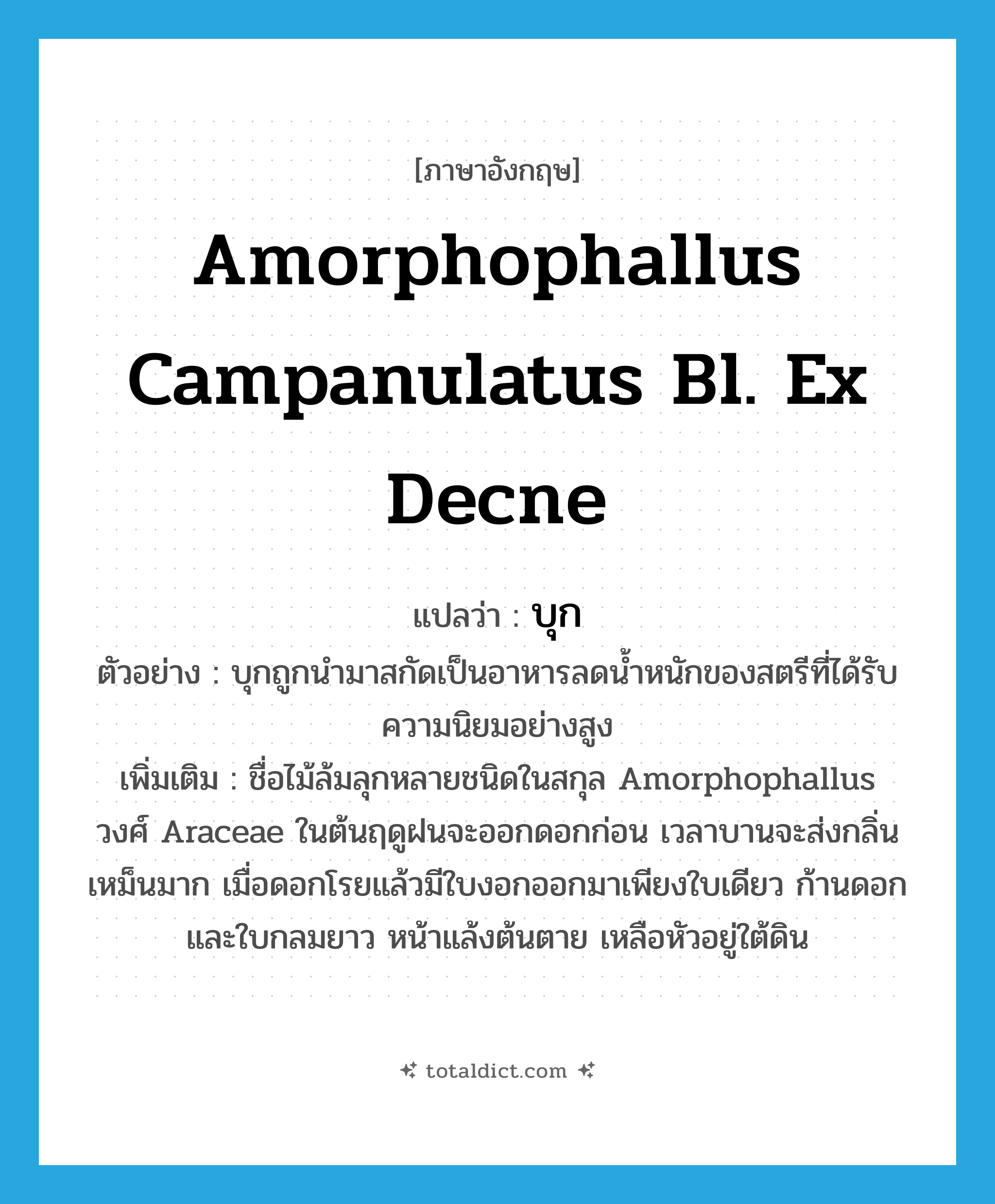 บุก ภาษาอังกฤษ?, คำศัพท์ภาษาอังกฤษ บุก แปลว่า Amorphophallus campanulatus Bl. ex Decne ประเภท N ตัวอย่าง บุกถูกนำมาสกัดเป็นอาหารลดน้ำหนักของสตรีที่ได้รับความนิยมอย่างสูง เพิ่มเติม ชื่อไม้ล้มลุกหลายชนิดในสกุล Amorphophallus วงศ์ Araceae ในต้นฤดูฝนจะออกดอกก่อน เวลาบานจะส่งกลิ่นเหม็นมาก เมื่อดอกโรยแล้วมีใบงอกออกมาเพียงใบเดียว ก้านดอกและใบกลมยาว หน้าแล้งต้นตาย เหลือหัวอยู่ใต้ดิน หมวด N