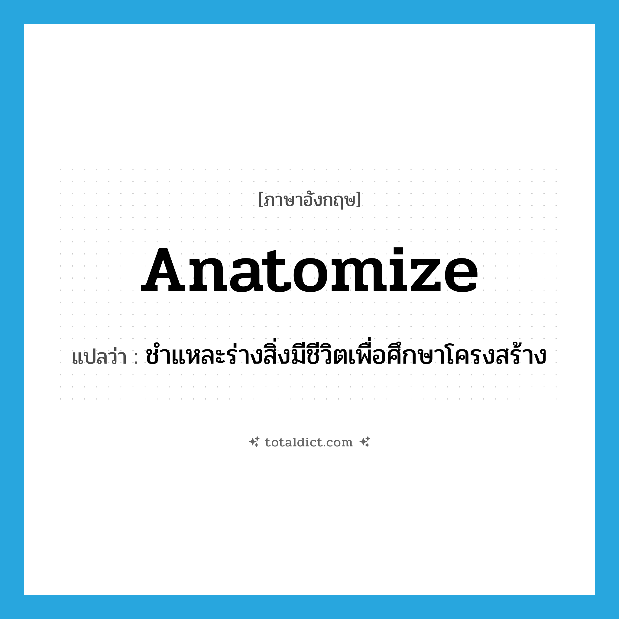 anatomize แปลว่า?, คำศัพท์ภาษาอังกฤษ anatomize แปลว่า ชำแหละร่างสิ่งมีชีวิตเพื่อศึกษาโครงสร้าง ประเภท VI หมวด VI