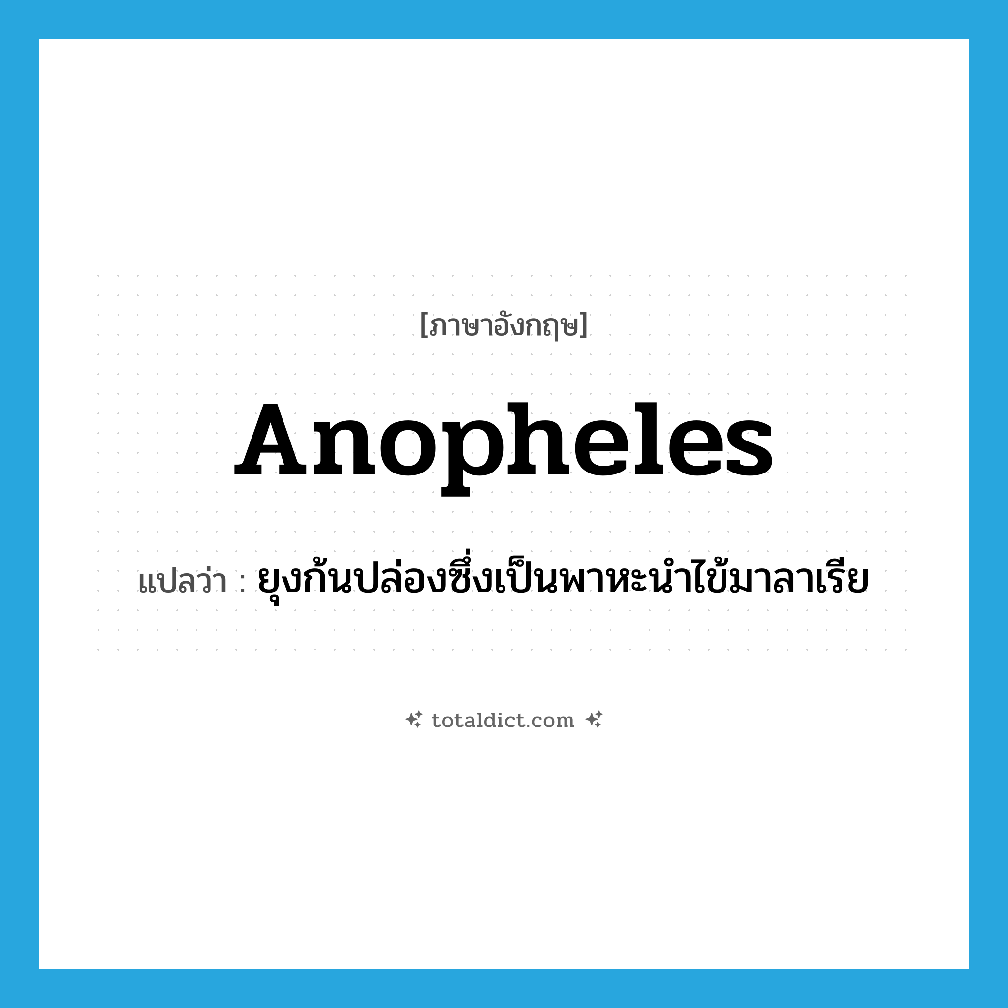 anopheles แปลว่า?, คำศัพท์ภาษาอังกฤษ anopheles แปลว่า ยุงก้นปล่องซึ่งเป็นพาหะนำไข้มาลาเรีย ประเภท N หมวด N
