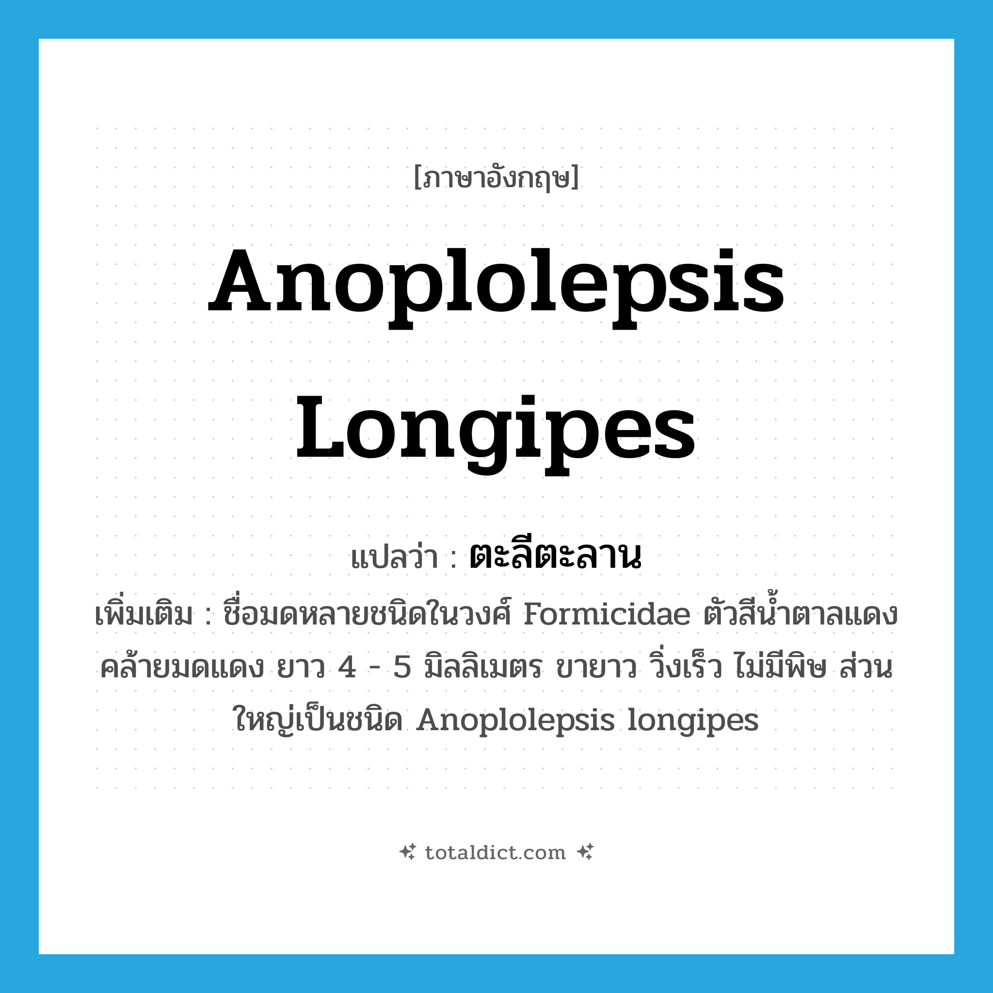ตะลีตะลาน ภาษาอังกฤษ?, คำศัพท์ภาษาอังกฤษ ตะลีตะลาน แปลว่า Anoplolepsis longipes ประเภท N เพิ่มเติม ชื่อมดหลายชนิดในวงศ์ Formicidae ตัวสีน้ำตาลแดงคล้ายมดแดง ยาว 4 - 5 มิลลิเมตร ขายาว วิ่งเร็ว ไม่มีพิษ ส่วนใหญ่เป็นชนิด Anoplolepsis longipes หมวด N