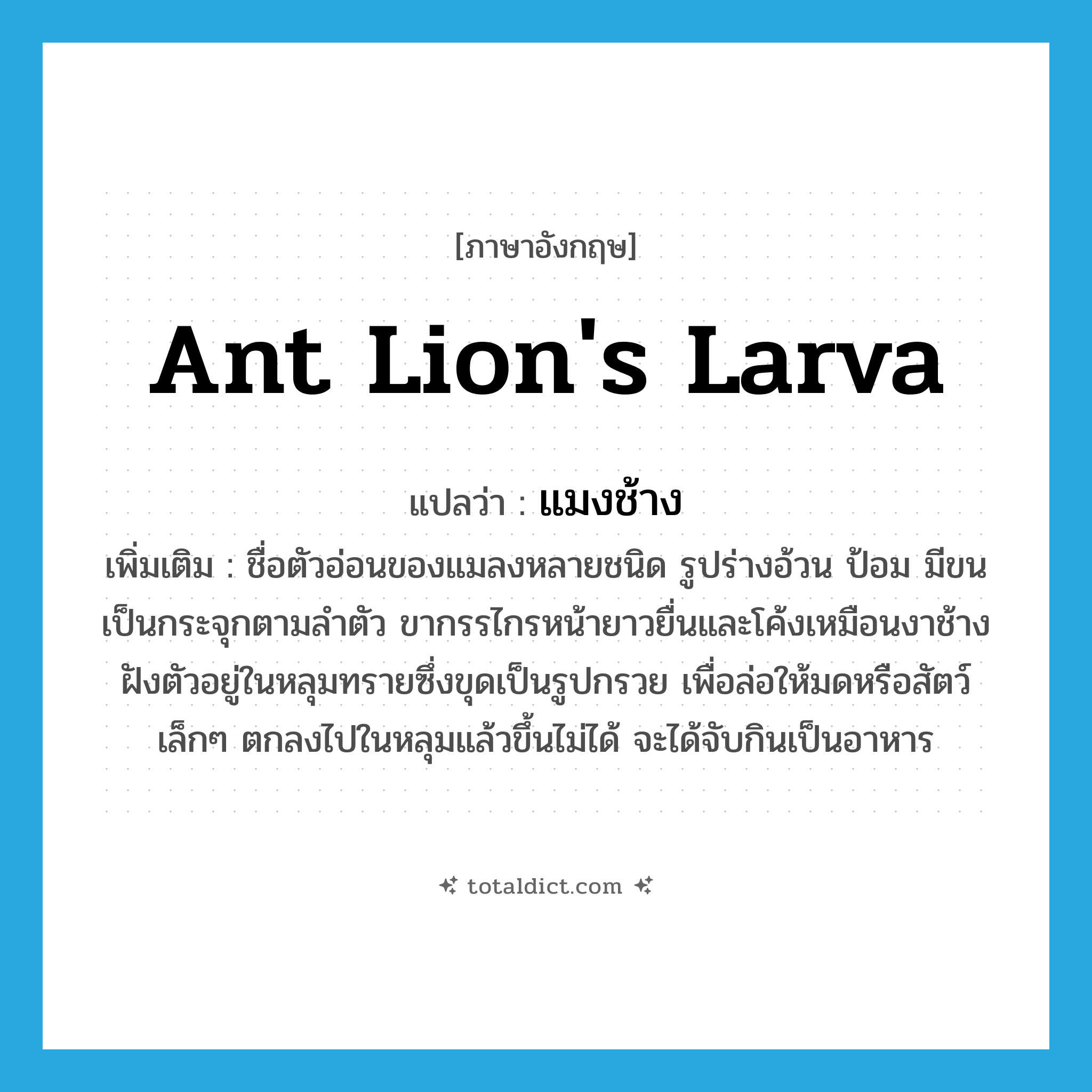 ant lion&#39;s larva แปลว่า?, คำศัพท์ภาษาอังกฤษ ant lion&#39;s larva แปลว่า แมงช้าง ประเภท N เพิ่มเติม ชื่อตัวอ่อนของแมลงหลายชนิด รูปร่างอ้วน ป้อม มีขนเป็นกระจุกตามลำตัว ขากรรไกรหน้ายาวยื่นและโค้งเหมือนงาช้าง ฝังตัวอยู่ในหลุมทรายซึ่งขุดเป็นรูปกรวย เพื่อล่อให้มดหรือสัตว์เล็กๆ ตกลงไปในหลุมแล้วขึ้นไม่ได้ จะได้จับกินเป็นอาหาร หมวด N