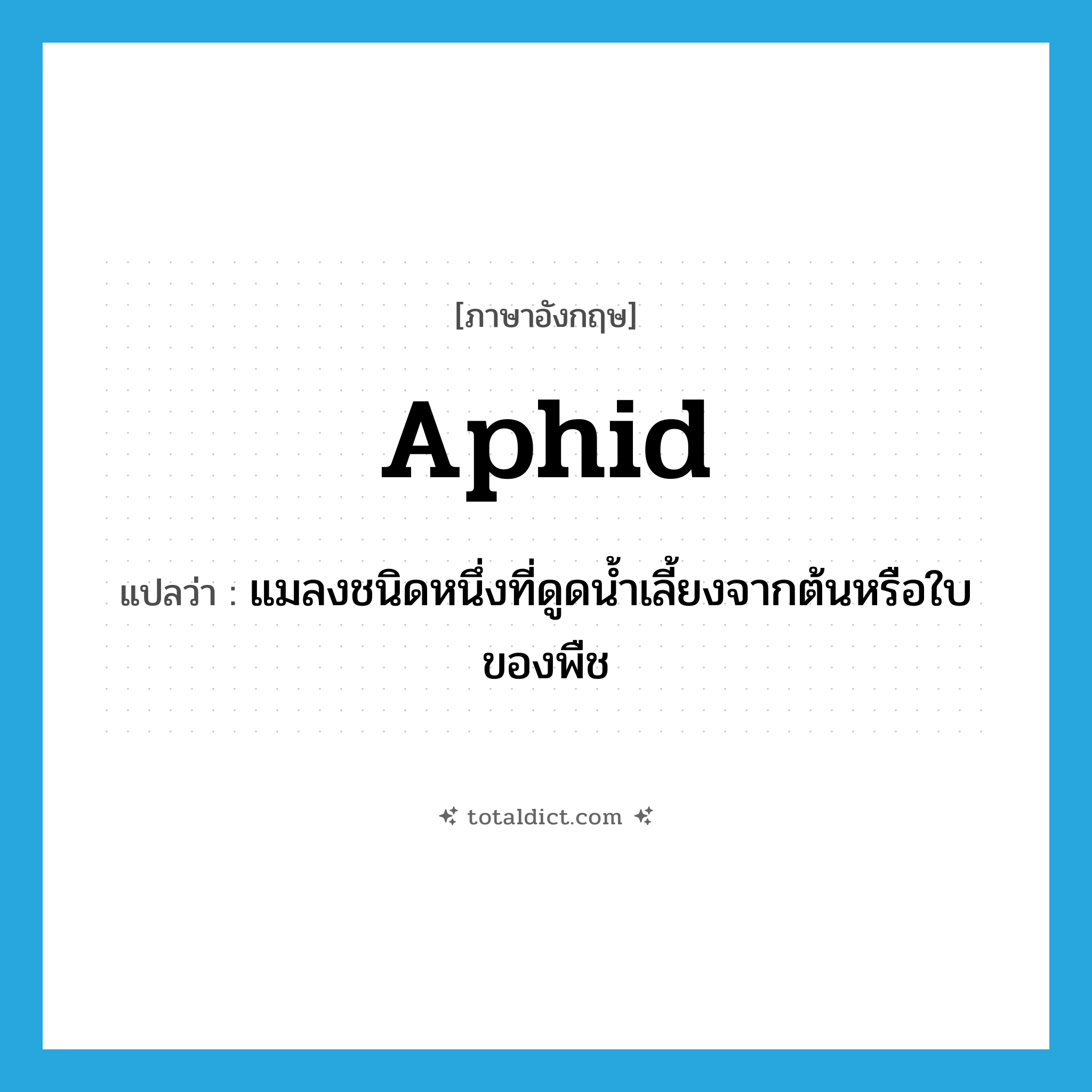 aphid แปลว่า?, คำศัพท์ภาษาอังกฤษ aphid แปลว่า แมลงชนิดหนึ่งที่ดูดน้ำเลี้ยงจากต้นหรือใบของพืช ประเภท N หมวด N