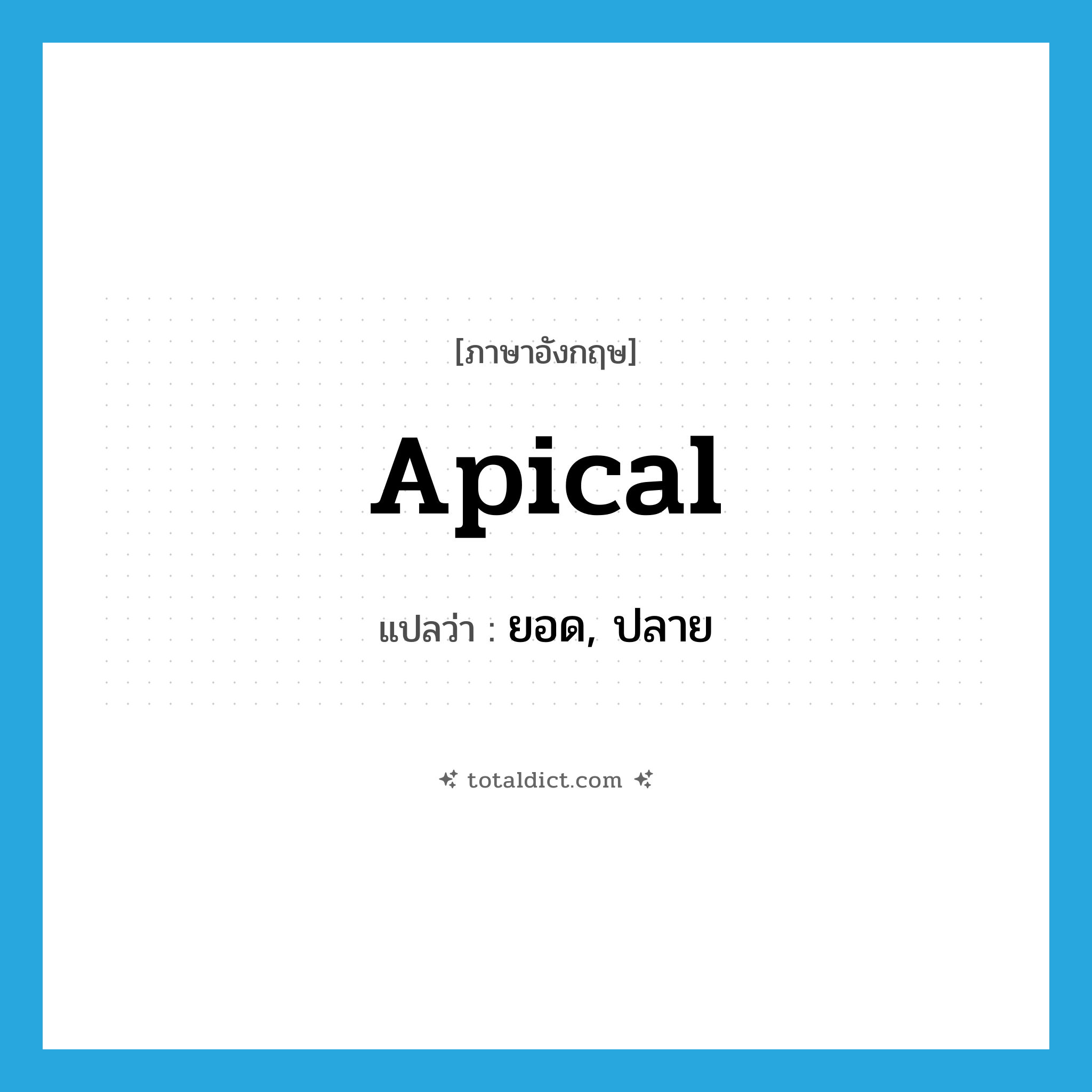 apical แปลว่า?, คำศัพท์ภาษาอังกฤษ apical แปลว่า ยอด, ปลาย ประเภท ADJ หมวด ADJ