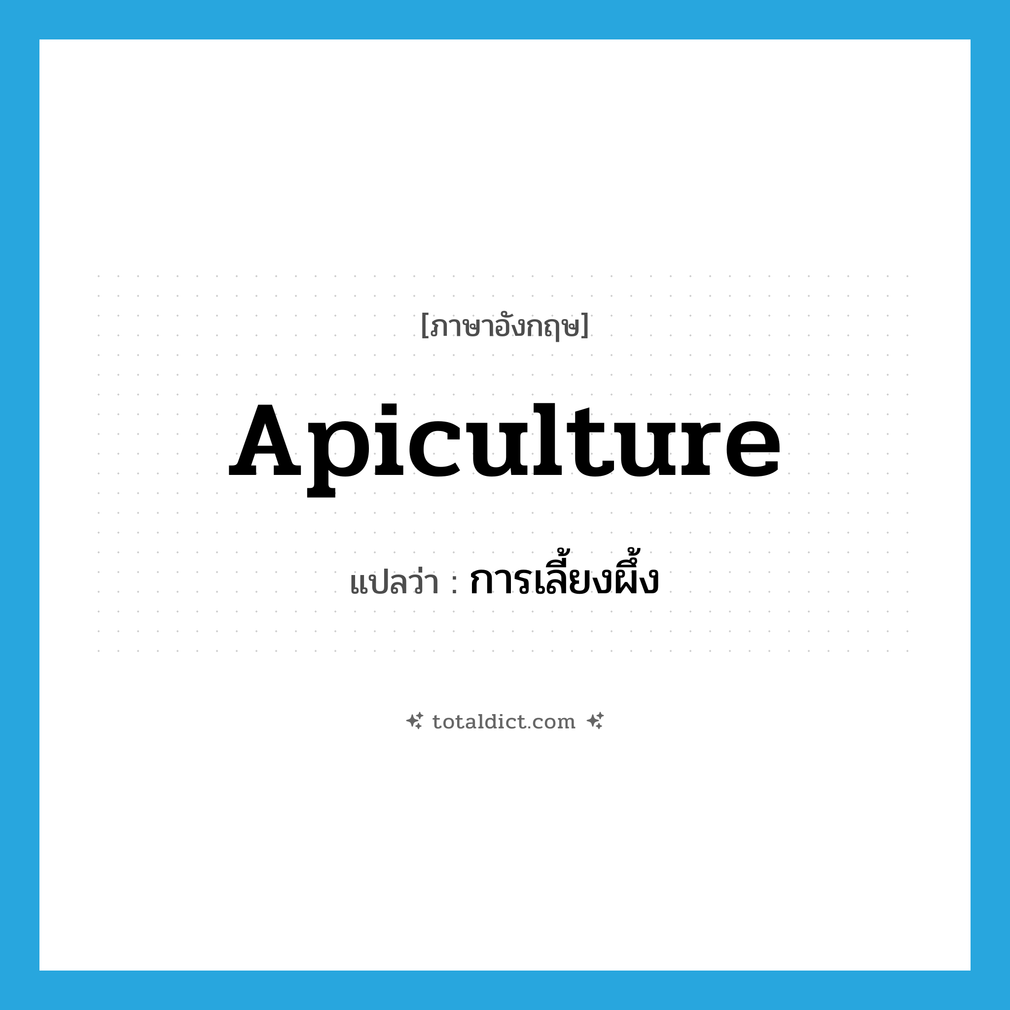 apiculture แปลว่า?, คำศัพท์ภาษาอังกฤษ apiculture แปลว่า การเลี้ยงผึ้ง ประเภท N หมวด N