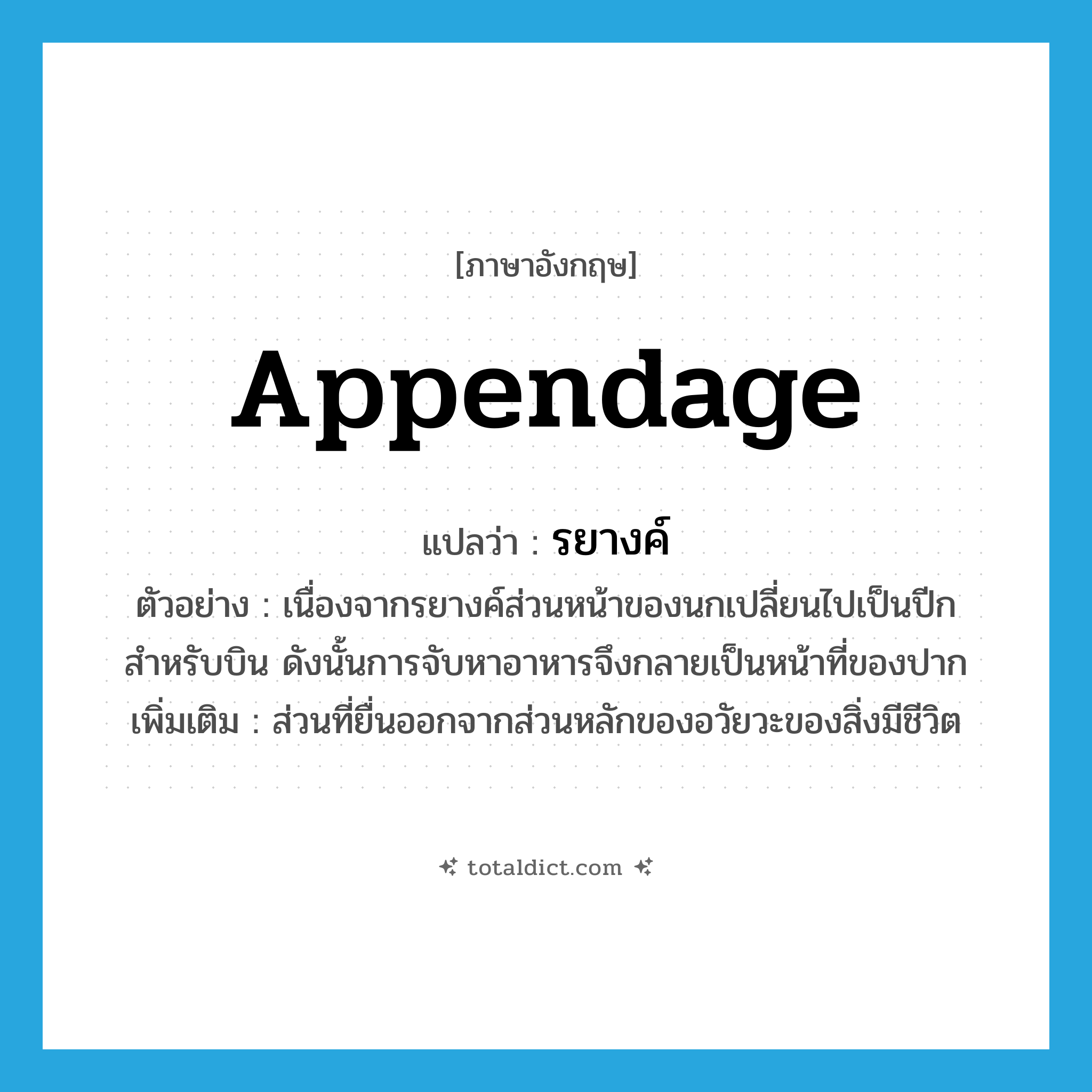 appendage แปลว่า?, คำศัพท์ภาษาอังกฤษ appendage แปลว่า รยางค์ ประเภท N ตัวอย่าง เนื่องจากรยางค์ส่วนหน้าของนกเปลี่ยนไปเป็นปีกสำหรับบิน ดังนั้นการจับหาอาหารจึงกลายเป็นหน้าที่ของปาก เพิ่มเติม ส่วนที่ยื่นออกจากส่วนหลักของอวัยวะของสิ่งมีชีวิต หมวด N
