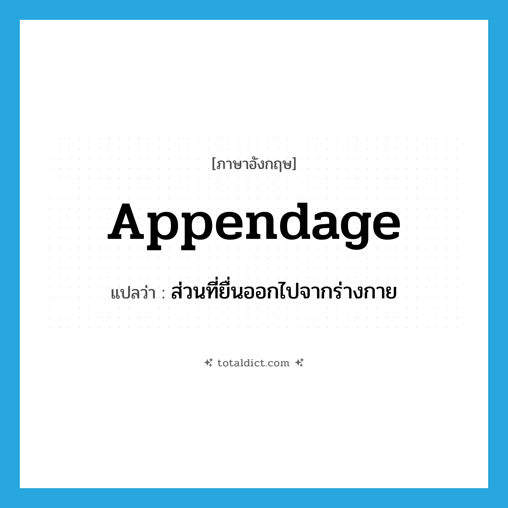 appendage แปลว่า?, คำศัพท์ภาษาอังกฤษ appendage แปลว่า ส่วนที่ยื่นออกไปจากร่างกาย ประเภท N หมวด N