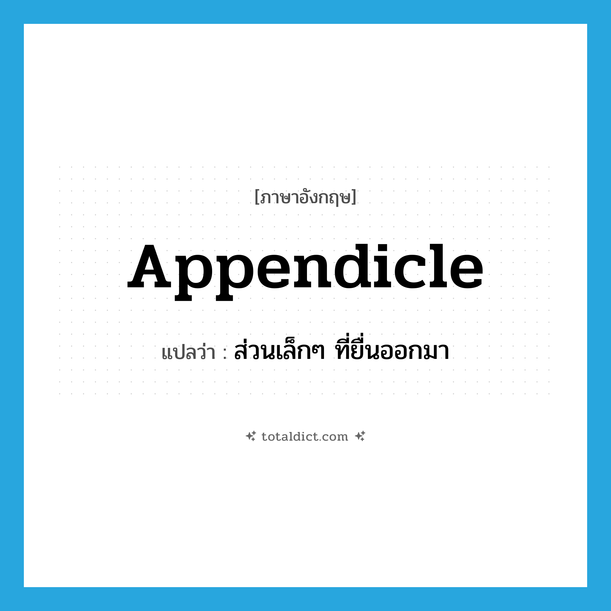 appendicle แปลว่า?, คำศัพท์ภาษาอังกฤษ appendicle แปลว่า ส่วนเล็กๆ ที่ยื่นออกมา ประเภท N หมวด N