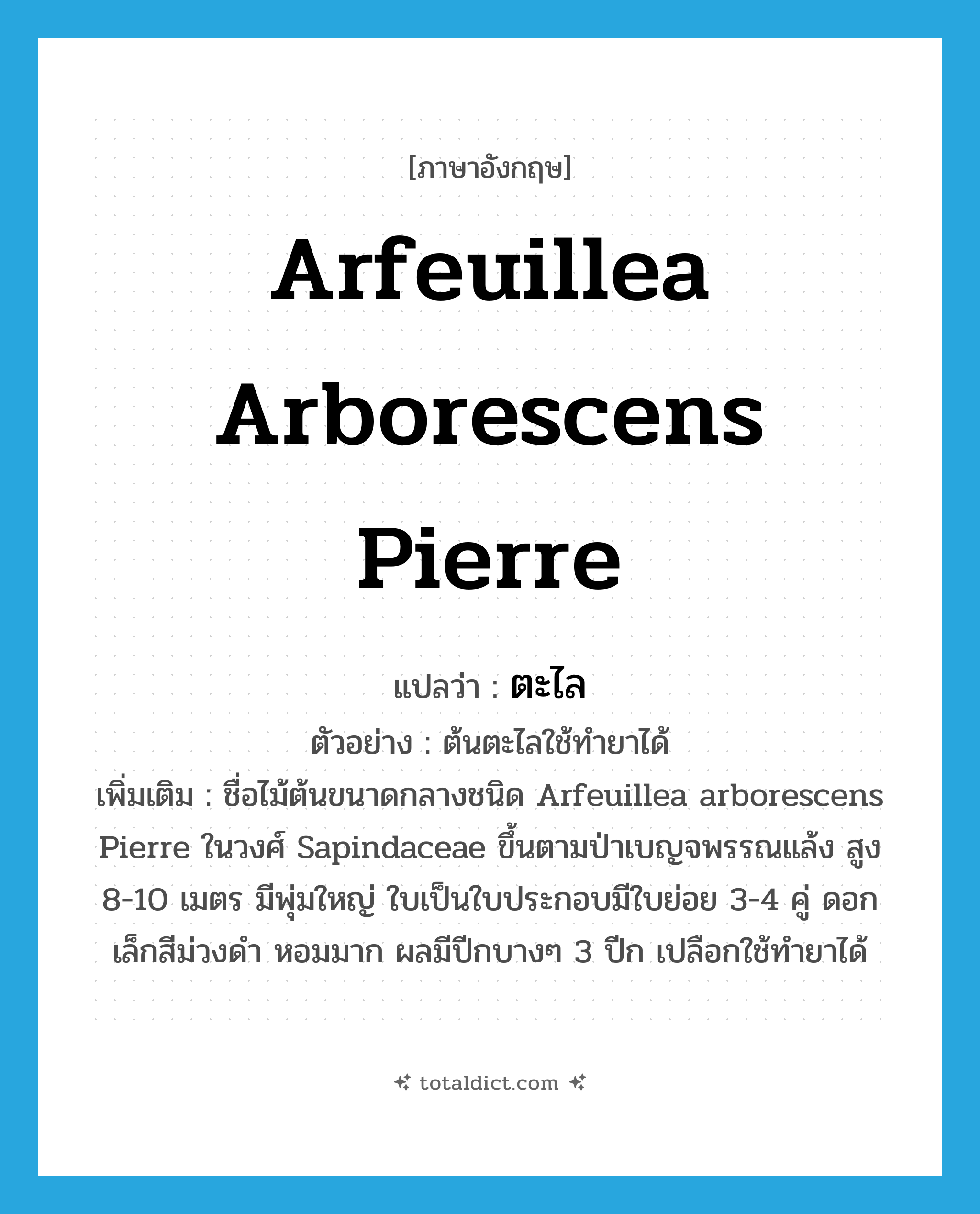 ตะไล ภาษาอังกฤษ?, คำศัพท์ภาษาอังกฤษ ตะไล แปลว่า Arfeuillea arborescens Pierre ประเภท N ตัวอย่าง ต้นตะไลใช้ทำยาได้ เพิ่มเติม ชื่อไม้ต้นขนาดกลางชนิด Arfeuillea arborescens Pierre ในวงศ์ Sapindaceae ขึ้นตามป่าเบญจพรรณแล้ง สูง 8-10 เมตร มีพุ่มใหญ่ ใบเป็นใบประกอบมีใบย่อย 3-4 คู่ ดอกเล็กสีม่วงดำ หอมมาก ผลมีปีกบางๆ 3 ปีก เปลือกใช้ทำยาได้ หมวด N