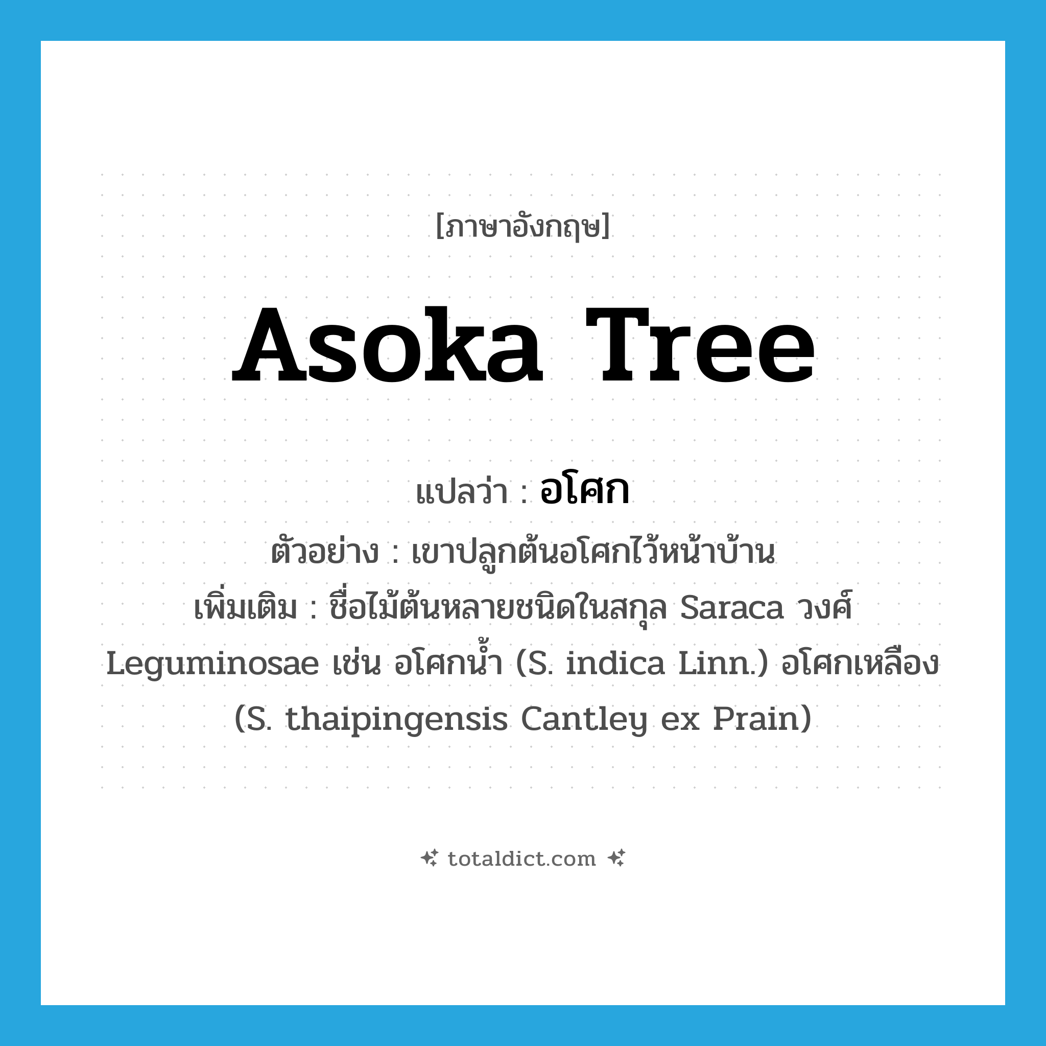 Asoka tree แปลว่า?, คำศัพท์ภาษาอังกฤษ Asoka tree แปลว่า อโศก ประเภท N ตัวอย่าง เขาปลูกต้นอโศกไว้หน้าบ้าน เพิ่มเติม ชื่อไม้ต้นหลายชนิดในสกุล Saraca วงศ์ Leguminosae เช่น อโศกน้ำ (S. indica Linn.) อโศกเหลือง (S. thaipingensis Cantley ex Prain) หมวด N